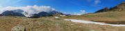 10 Sui pascoli, fioriti di crocus, del Monte Campo
